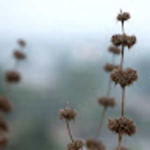 Meet your Posher, Joanne